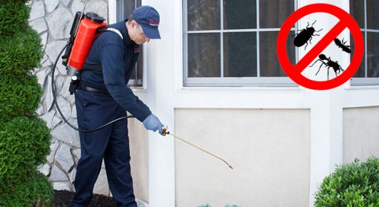 Karapürçek Dezenfeksiyon böcek ilaçlama ve haşere kontrolü — ilaclama-tr.com